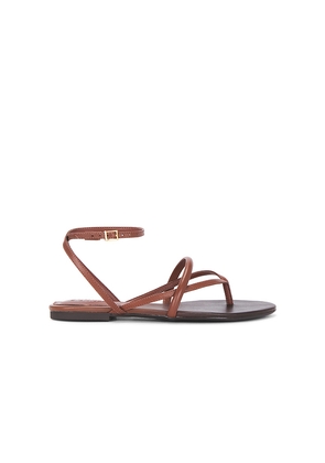 Schutz Diana Flat Sandal in Brown. Size 10. Also in 6, 8.5, 9.5.