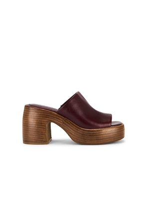 Steve Madden Shanton Sandal in Burgundy. Size 10. Also in 8, 9.5.