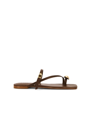 Schutz Elysa Flat in Chocolate. Size 5.5. Also in 6.