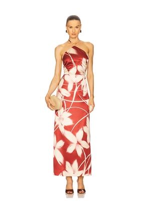 Steve Madden Oaklyn Dress in Rust. Size 0. Also in 10, 2, 4, 6, 8.