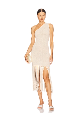 Rails Antonia Dress in Brown. Size L. Also in M, S, XL, XS.