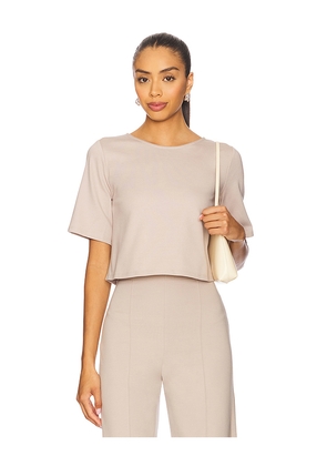 Ripley Rader Ponte Knit Short Sleeve Top in Beige. Size L. Also in M.