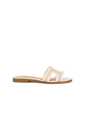 Steve Madden Hadyn Mesh Sandal in Cream. Size 10. Also in 6.