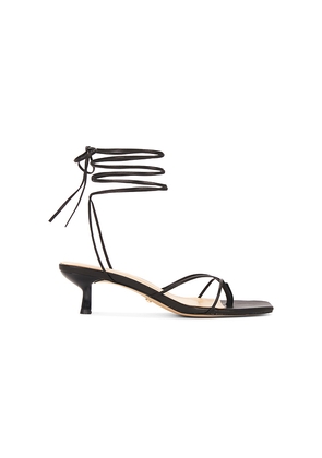 RAYE Jaden Sandal in Black. Size 6.5. Also in 7.
