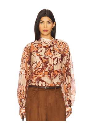 Steve Madden Sutton Top in Brown. Size L. Also in S, XS, M.