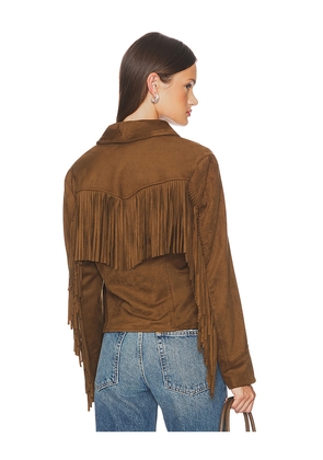 Steve Madden Dallas Jacket in Brown. Size L. Also in XL, XS.