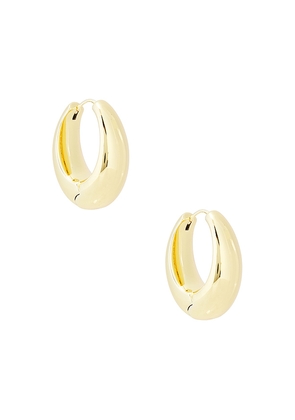 SHASHI Cameron Hoop Earring in Metallic Gold.