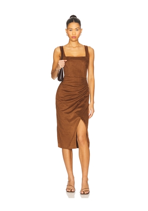 Steve Madden Milo Dress in Brown. Size 0. Also in 10, 12, 14, 2, 4, 6, 8.