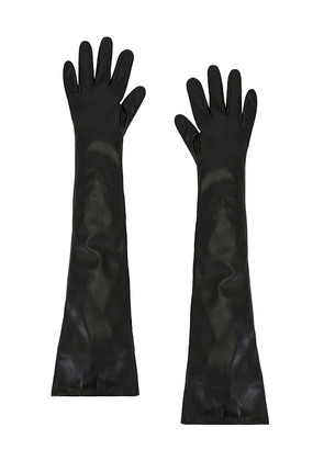 The Garment Tg Gloves in Black.