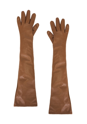 The Garment Tg Gloves in Brown.