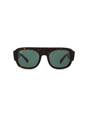 Ray-Ban Sunglasses in Brown.