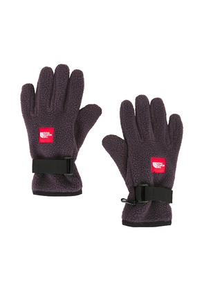 The North Face Red Box Fleece Glove in Blue. Size L. Also in M, XL/1X.
