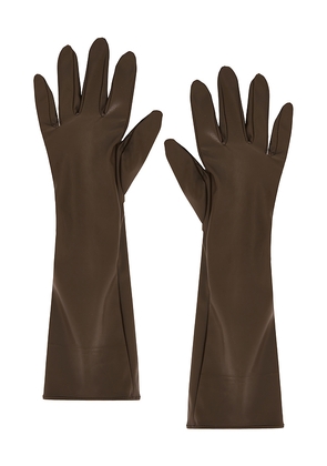 petit moments Carmen Gloves in Brown.