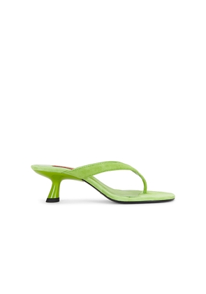 SIMONMILLER Beep Thong Sandal in Green. Size 36. Also in 37, 38, 39, 40, 41.