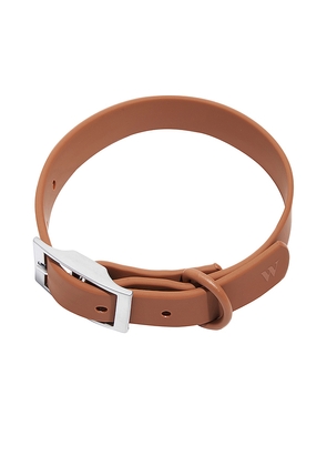Wild One Large Collar in Brown.