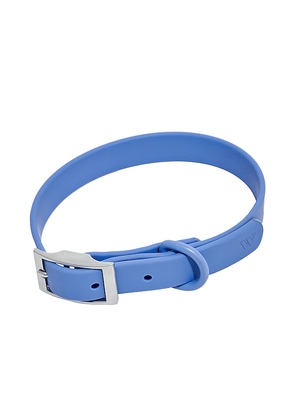 Wild One Extra Large Collar in Blue.