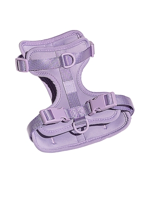 Wild One Harness in Lavender.