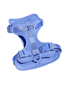 Wild One Harness in Blue.
