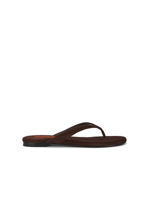 SIMONMILLER Salerno Thong Sandal in Chocolate. Size 35. Also in 36, 37, 38, 39, 40, 41.