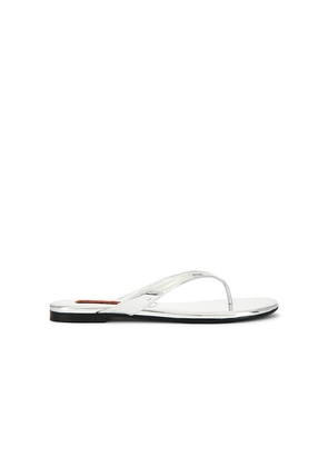 SIMONMILLER Salerno Thong Sandal in Metallic Silver, grey. Size 35. Also in 37, 38, 39, 40, 41.