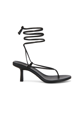 RAYE Paola Sandal in Black. Size 10. Also in 6, 6.5, 7, 7.5, 8, 8.5, 9.