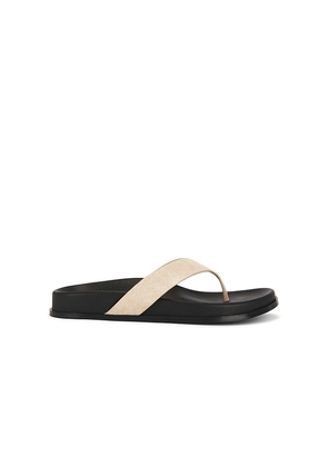 RAYE Alta Sandal in Cream. Size 10. Also in 5, 6, 7, 8, 9.