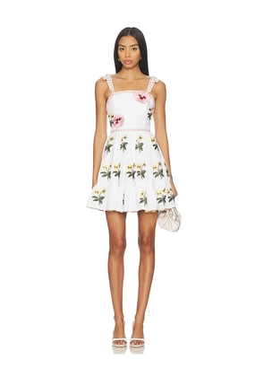 Rosewater House Tara Mini Dress in White. Size L. Also in XS, S, M.