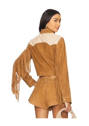 Understated Leather Combo Fringe Jacket in Brown. Size L. Also in S, XS, M, XL, XXS.