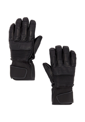 Whitespace Leather Riding Gloves in Black. Size L/XL. Also in .