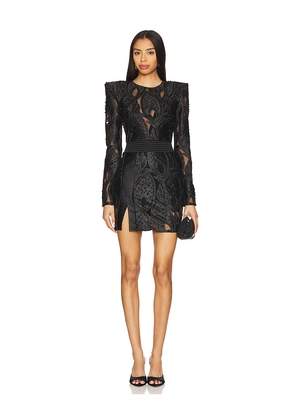 Zhivago Belle Fleur Mini Dress in Black. Size 10. Also in 4.