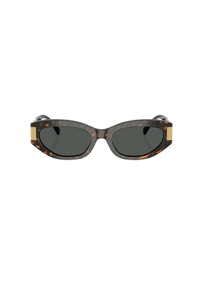 VERSACE Oval Sunglasses in Brown.