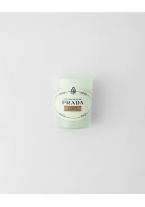 Infusion de Vanille Candle