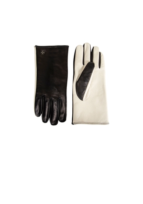 XE1V Gloves