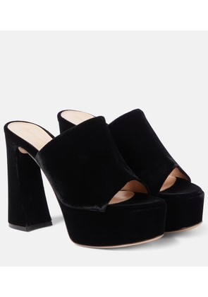 Gianvito Rossi Holly velvet platform mules