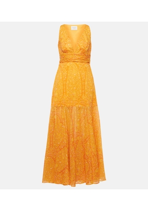 Giambattista Valli Printed cotton maxi dress