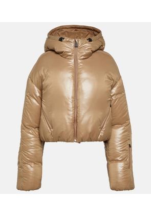 Aztech Mountain Daisy cropped down jacket