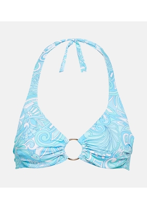 Melissa Odabash Brussels printed bikini top