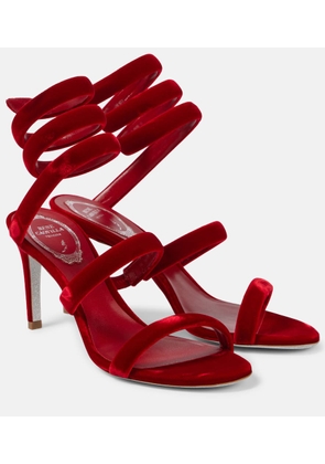 Rene Caovilla Cleo 80 velvet sandals