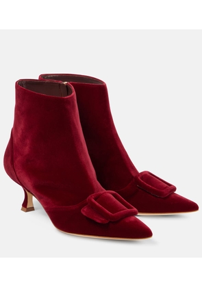 Manolo Blahnik Baylow velvet ankle boots