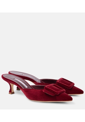Manolo Blahnik Maysale 50 velvet mules