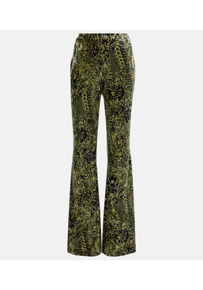 Diane von Furstenberg Ruthette printed velvet flared pants