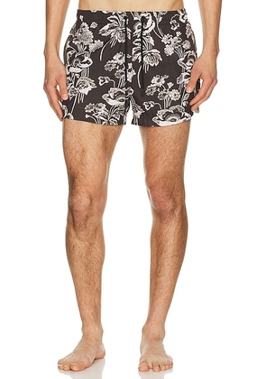 Commas Painted Peonies Short Swim Short in Black - Black. Size L (also in S, M, XL/1X, XXL/2X).