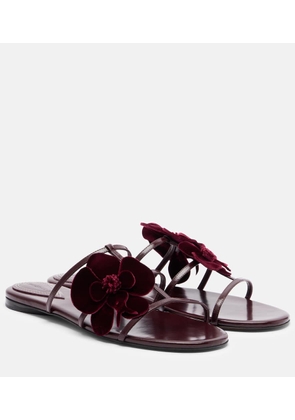 Zimmermann Orchid floral-applique leather sandals
