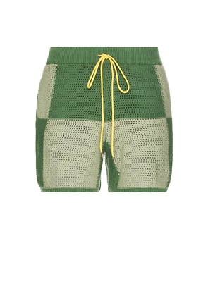 Diet Starts Monday Checker Crochet Short in Sage. Size S. Also in XL/1X.