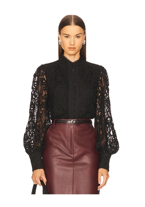 Bardot Remy Lace Bodysuit in Black. Size 4. Also in 6.