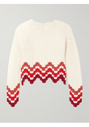 ESCVDO - Safi Cropped Scalloped Crocheted Cotton Top - Red - x small,small,medium,large,x large