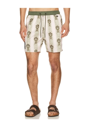 Agua Bendita Joe Swim Trunks in White,Green. Size 30. Also in 32, 34, 36, 38.