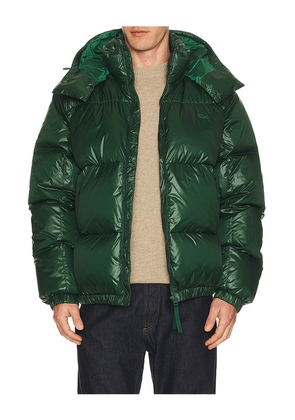 Lacoste Nylon Shiney Puffer Jacket in Green. Size 46. Also in 58, 54.