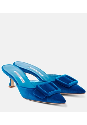 Manolo Blahnik Maysale 50 velvet mules