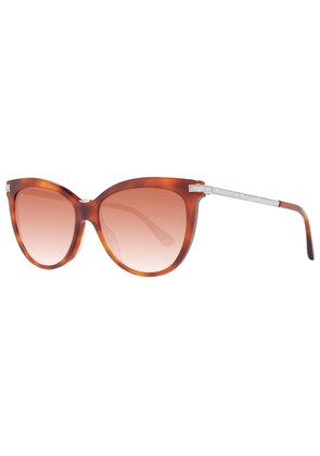 Brown Women Sunglasses